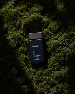 NueBlú Restore