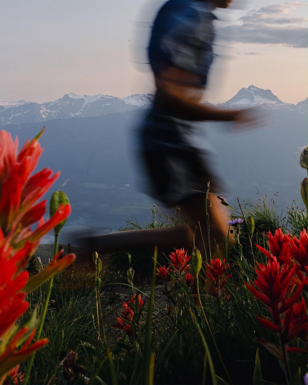 Runner passing red wildflowers on a mountain ridge at dusk